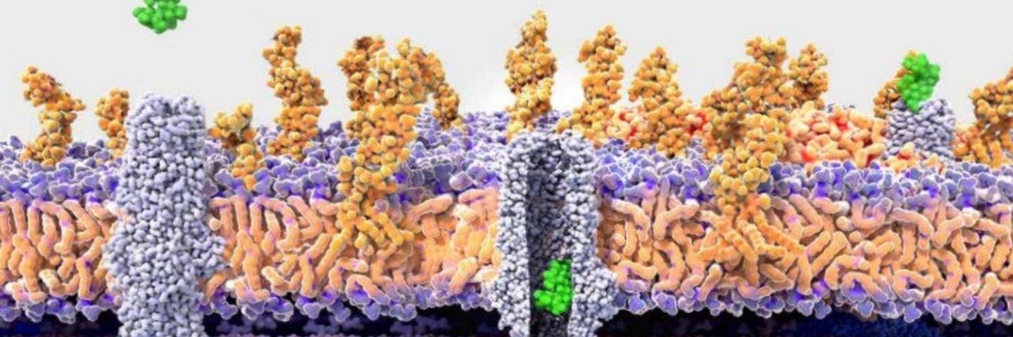 Esteban Paredes-Osses 🦠 banner