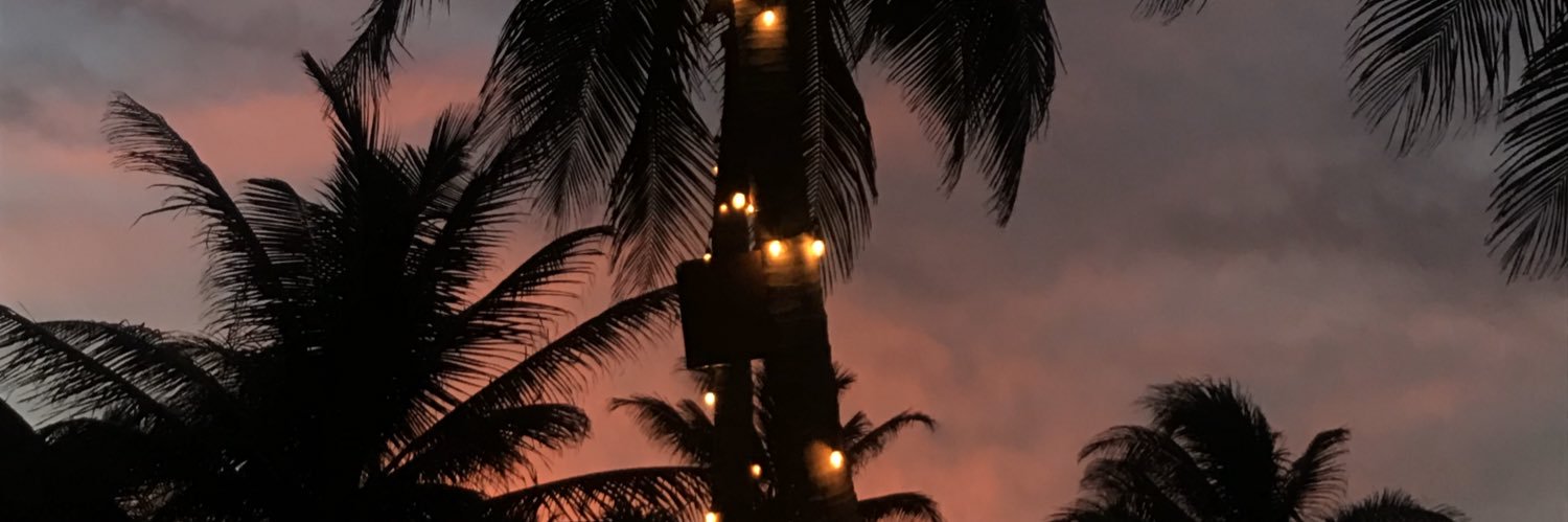 Magy  Bolaños banner
