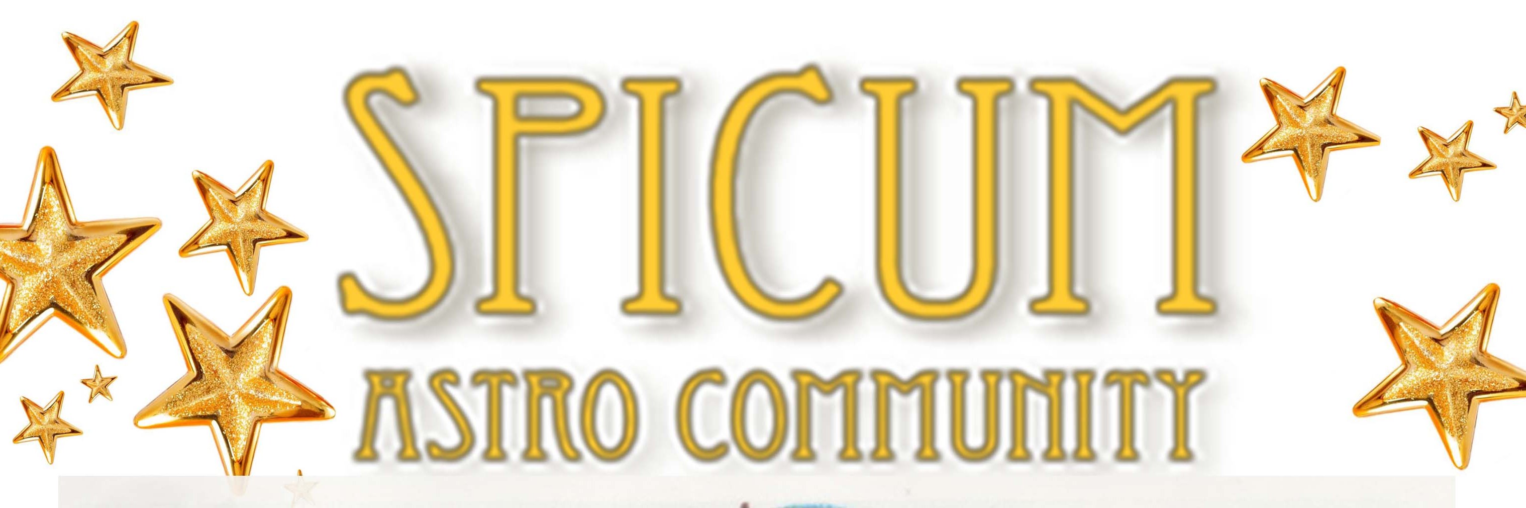 spicum's profile banner image