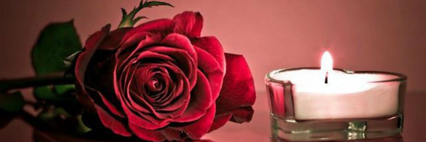 pinkrose230's profile banner image