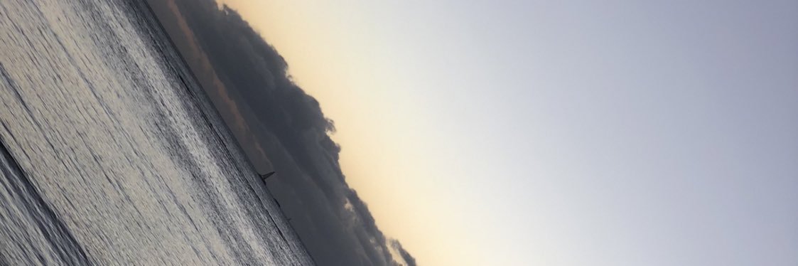 spring_breeeeze's profile banner image