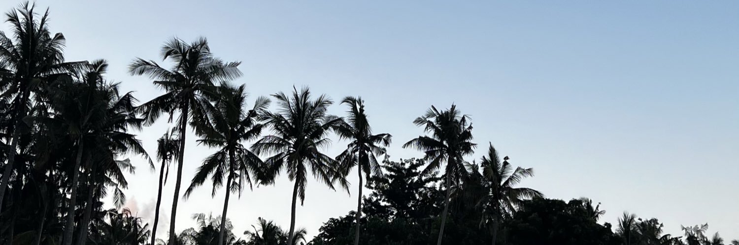 BellaaaaSN's profile banner image