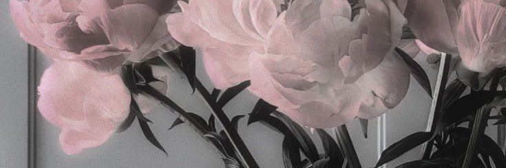 yerimiese's profile banner image