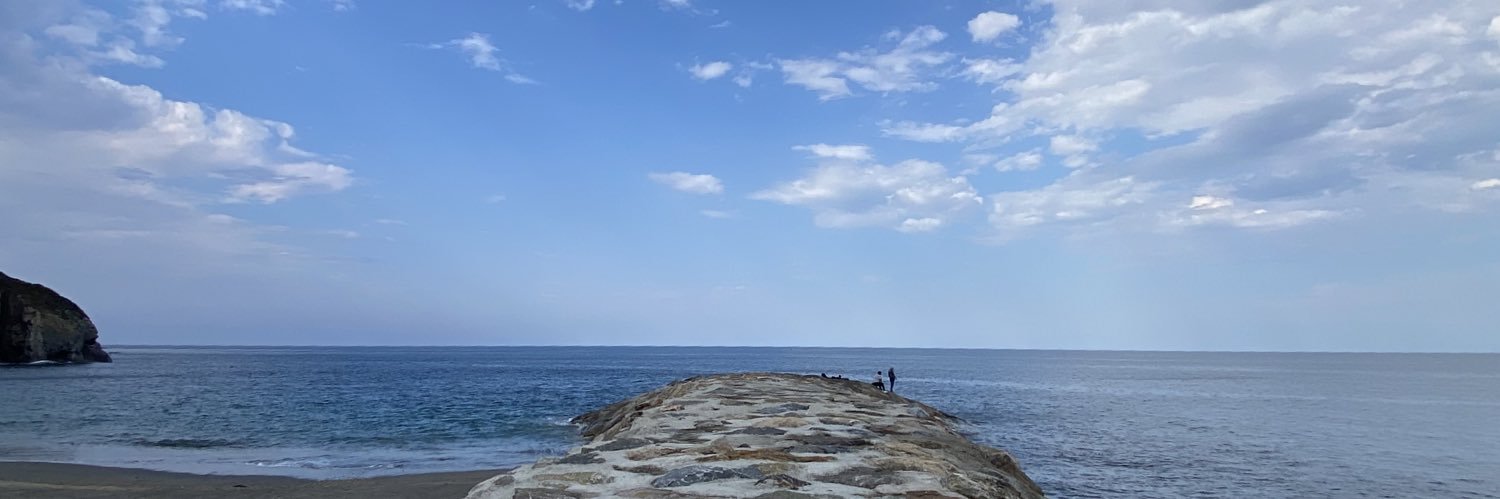 🏳️‍🌈🇵🇸aLucinada🇵🇸🏳️‍🌈 banner