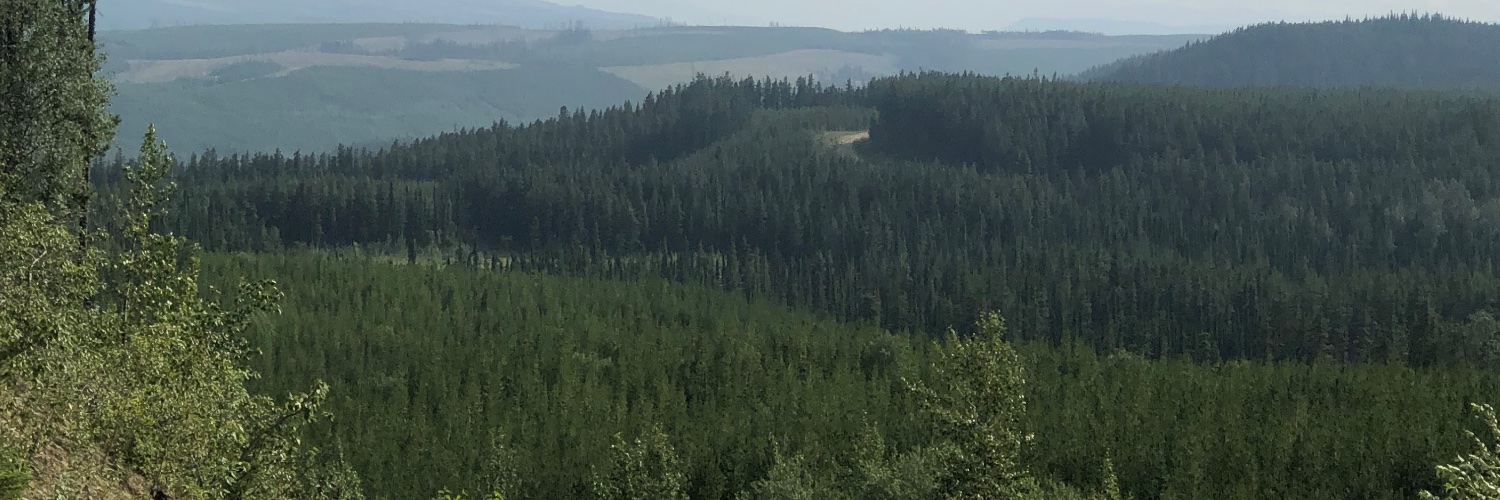 scottdowdall2's profile banner image