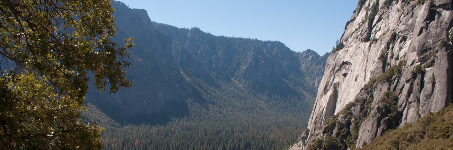 pesa14's profile banner image