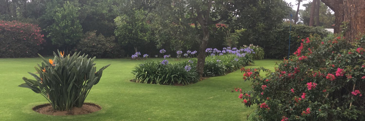 Sofia Perochena banner