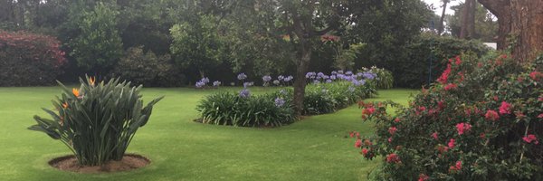 sofiapca Profile Banner