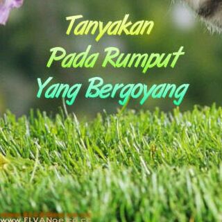 reindonggori's profile banner image