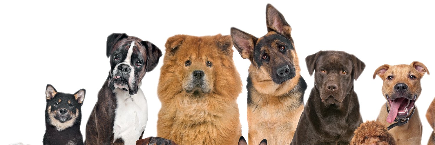 KusuriPet's profile banner image