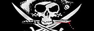 Ray Lauderback banner