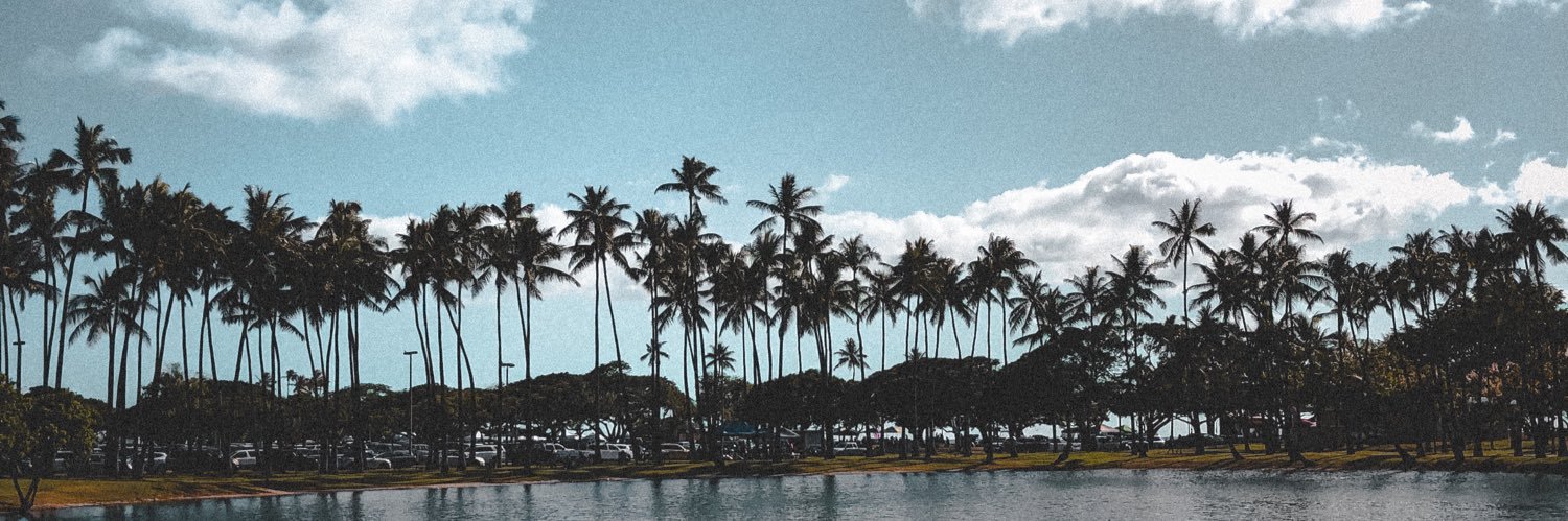 timjulivn's profile banner image