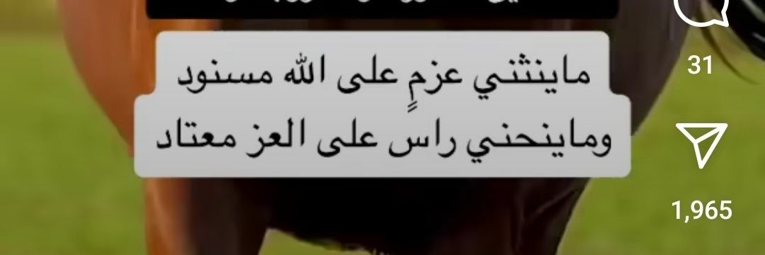 rafoofeh's profile banner image