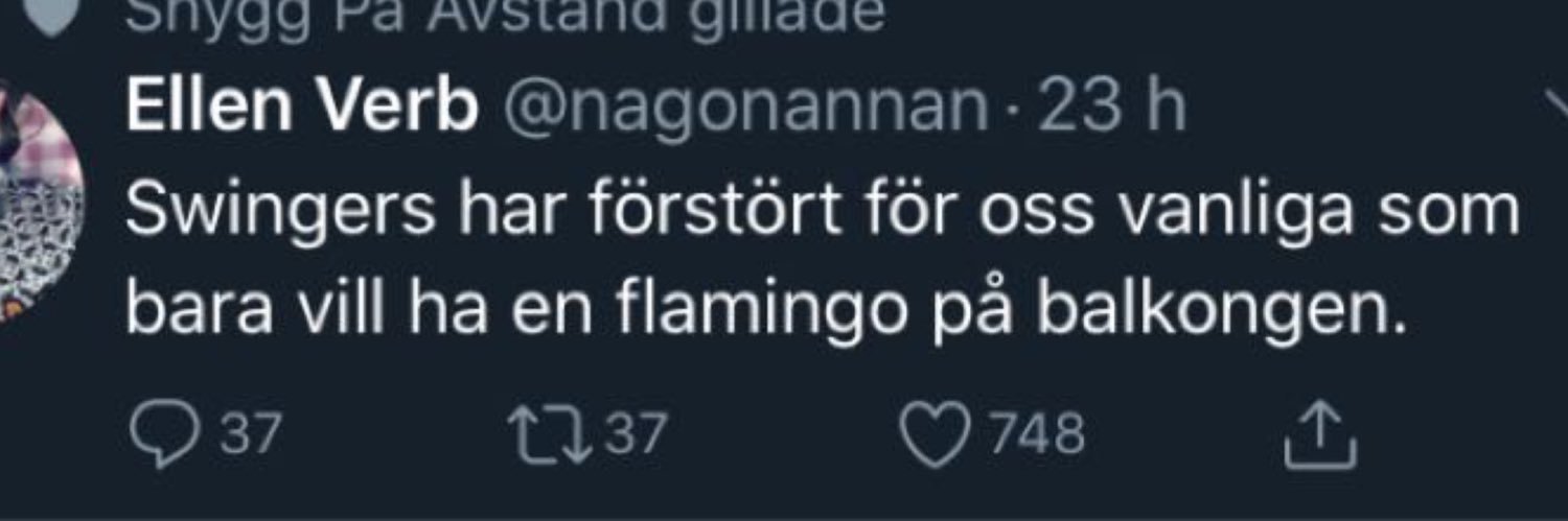 SteningEmma's profile banner image