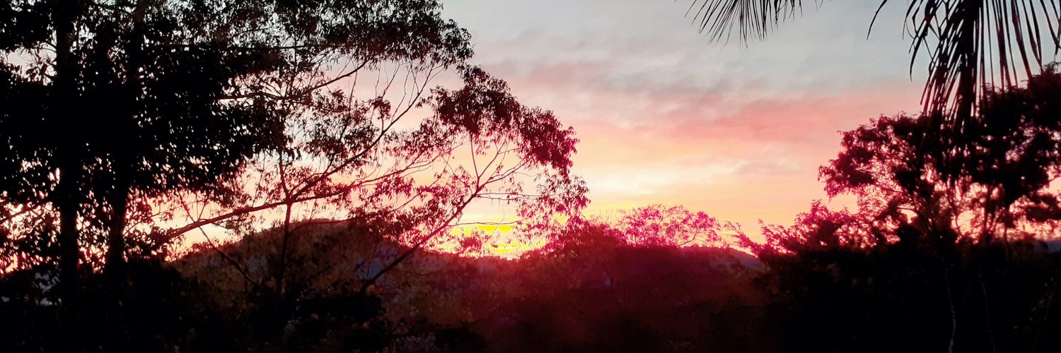 RenataDaesse's profile banner image