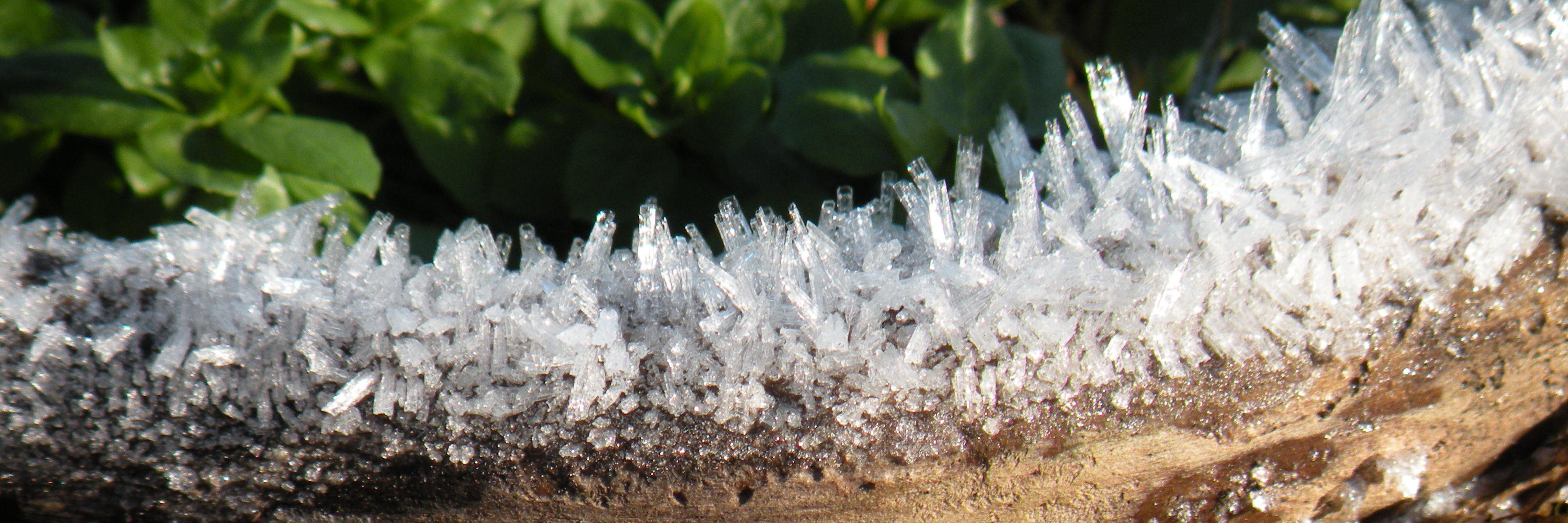 Mirjam Koedoot banner