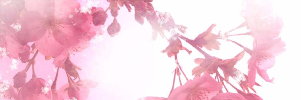 寝坊姫 banner