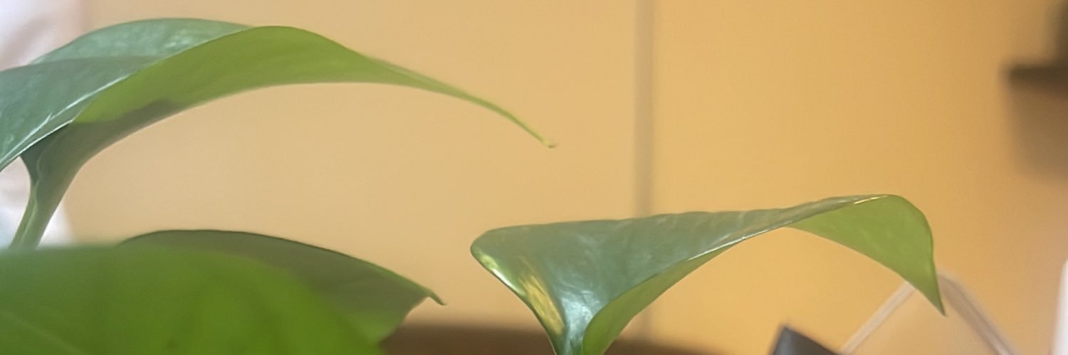Habebo20008's profile banner image