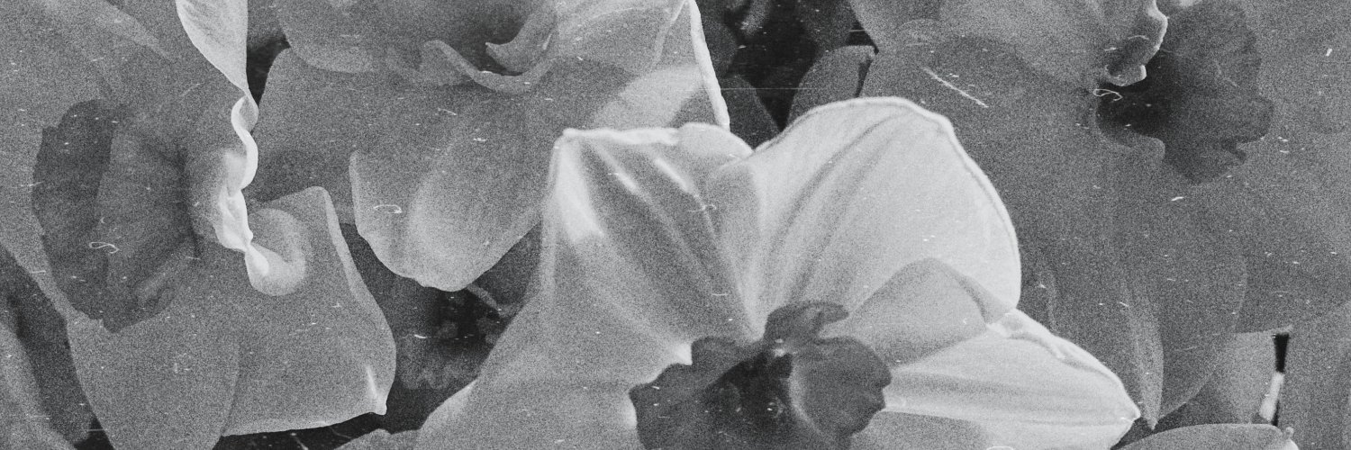 poca_music's profile banner image