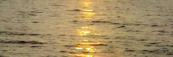 DrSamCharles Profile Banner