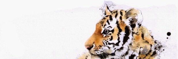 ItsShaye13's profile banner image