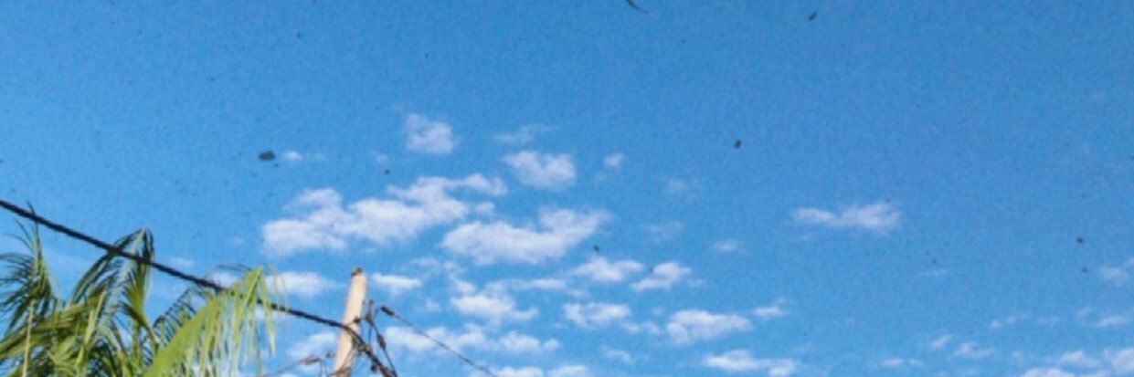 nAliaBee's profile banner image