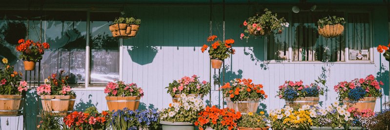 Bruno Vaughan banner