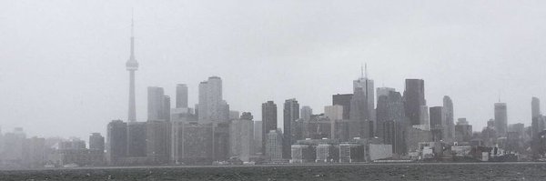 LibbyBrady1 Profile Banner