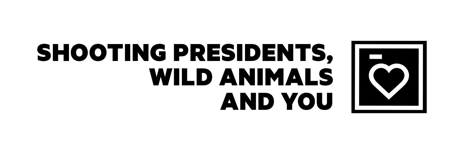 Stephane Schmutz banner