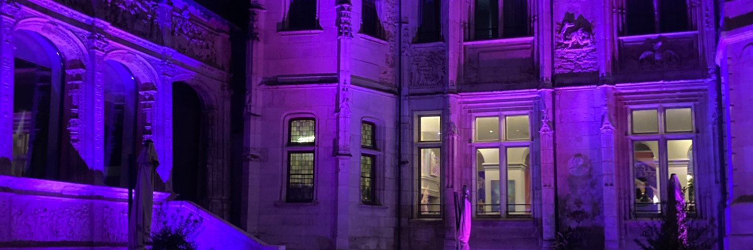 Rom1 banner