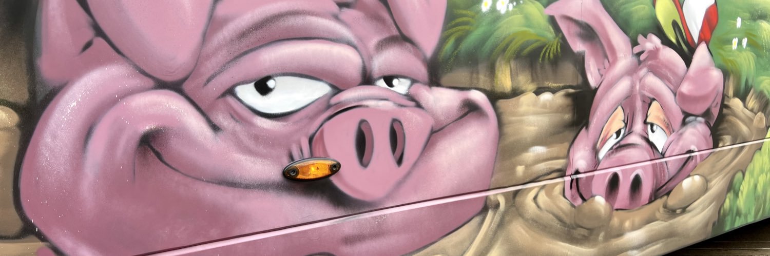 Country Bumpkin 🐷 banner