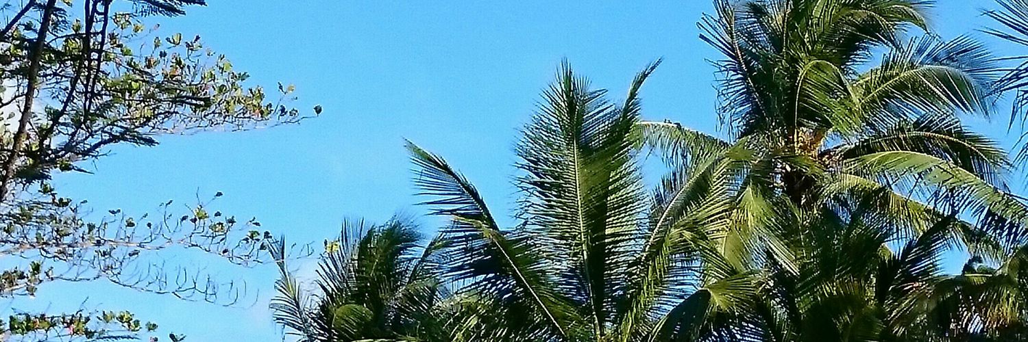 Elizabeth E Charles 🇩🇲 banner