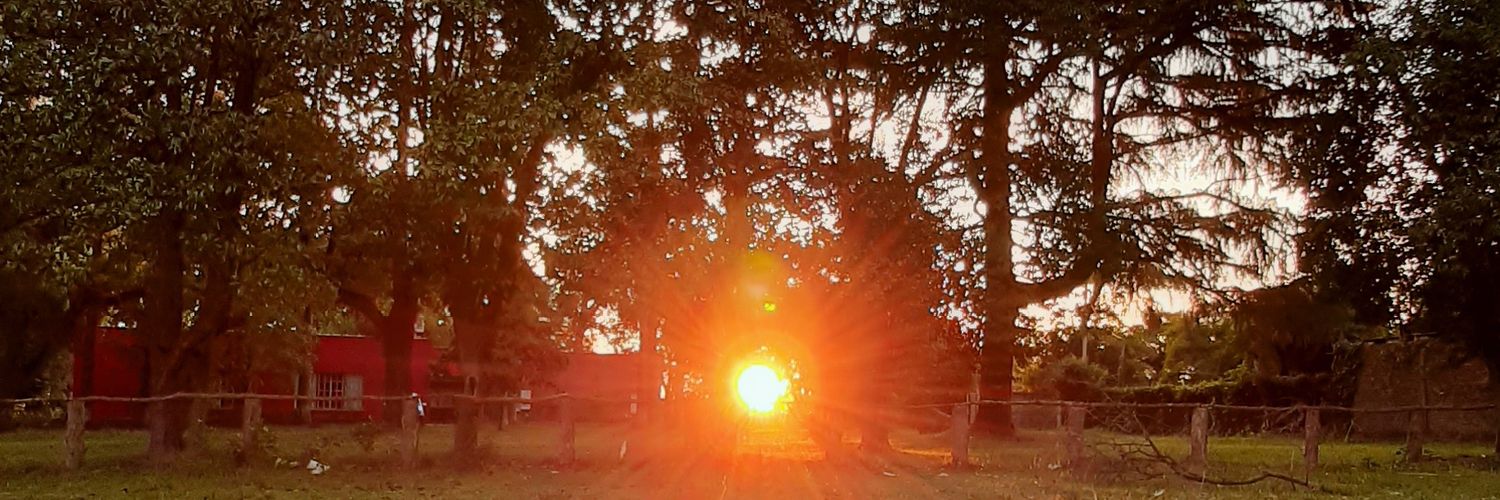 GodoyEnzo's profile banner image
