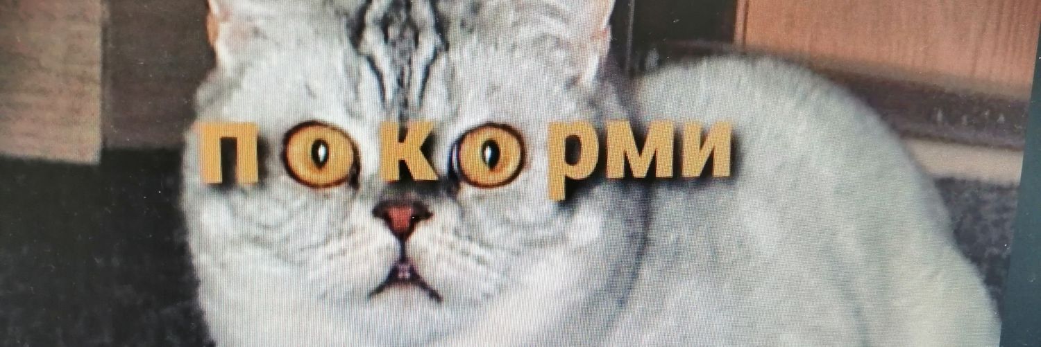 lol_lama's profile banner image