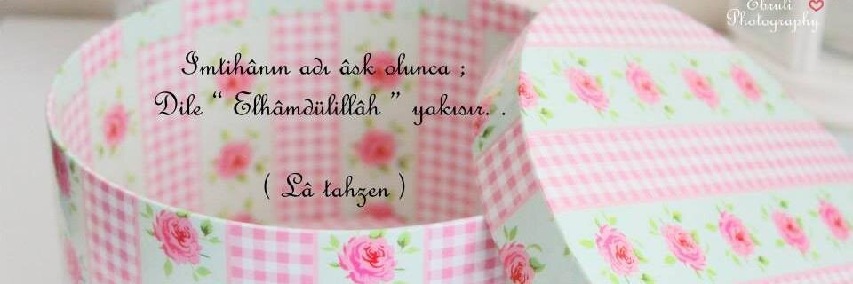 Elif Kzkndu banner