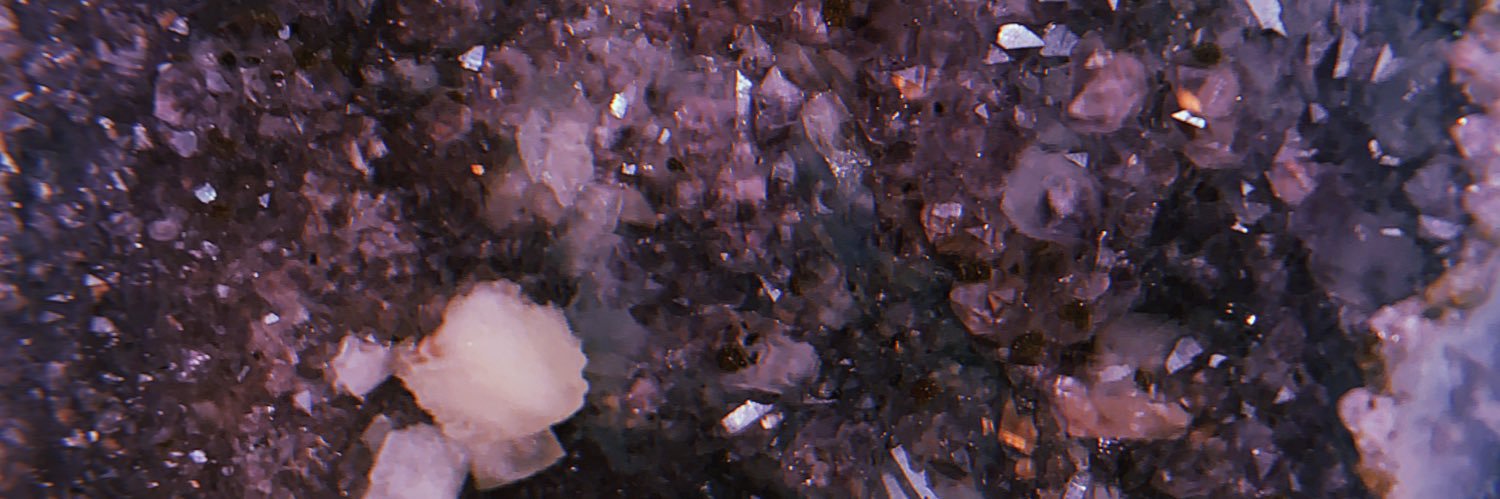 elisabitty_'s profile banner image