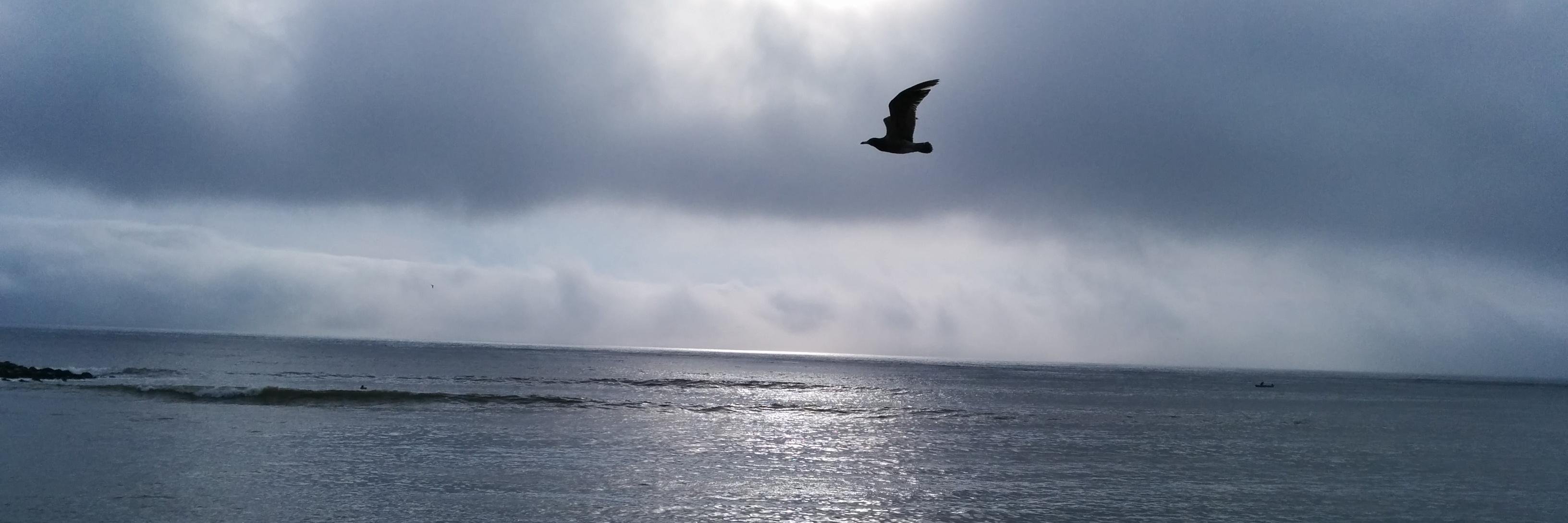 SpecR's profile banner image