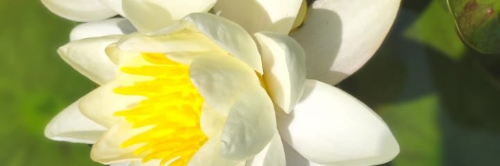 CatherineL9's profile banner image