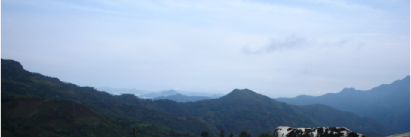 PardoPacho's profile banner image