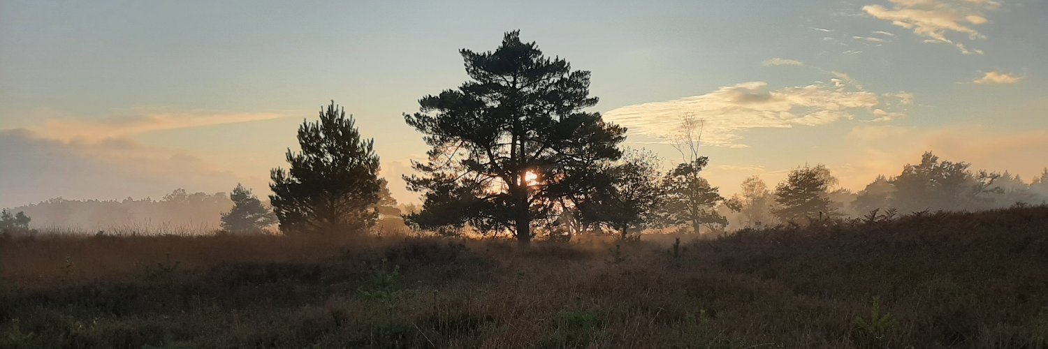 SJongerius's profile banner image