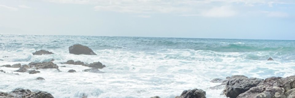 FiveFlemingos's profile banner image