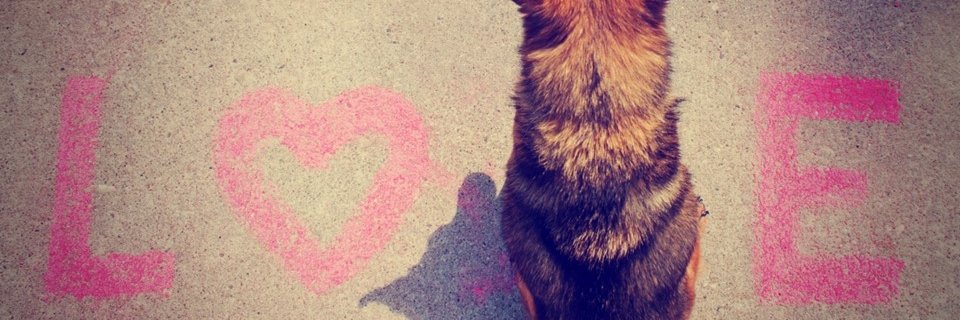 🐾Érica da kchorrada 🎓 banner