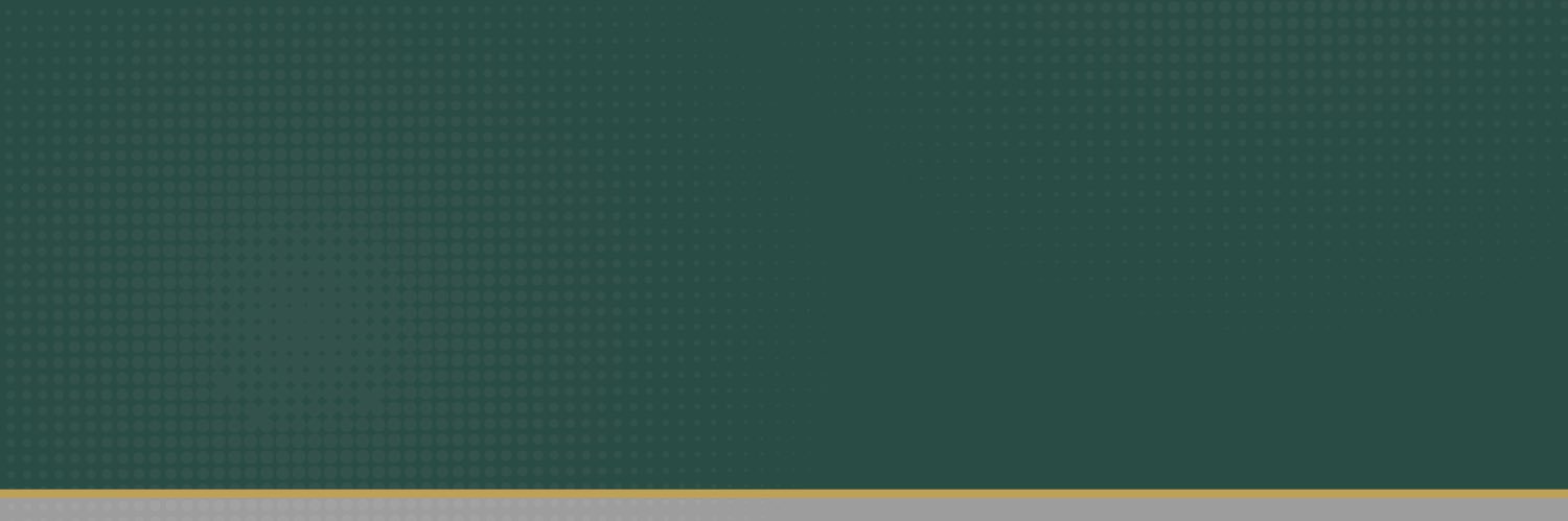 SRUMAIH_'s profile banner image