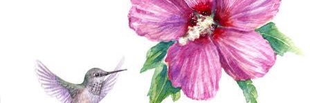 Candymsk's profile banner image