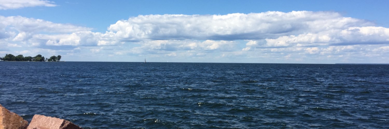 LMertz4's profile banner image