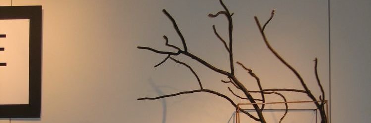 𝓟𝓪𝓾𝓵𝓸 banner