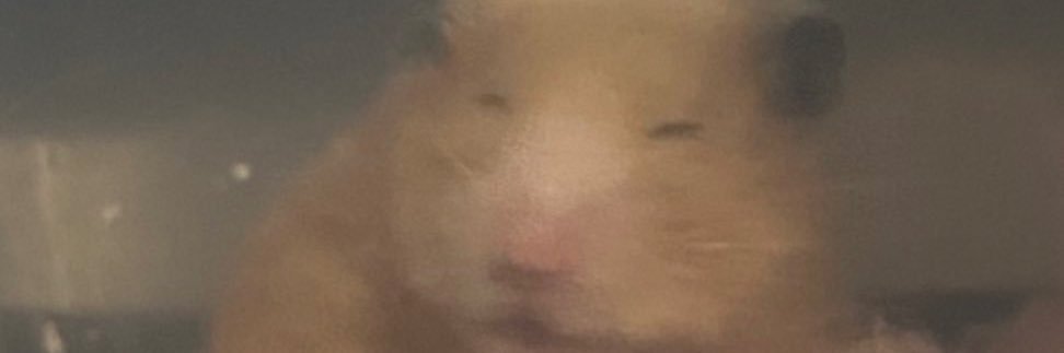 DooDooMJ's profile banner image