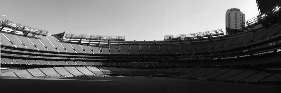 Elisabeth Hart banner