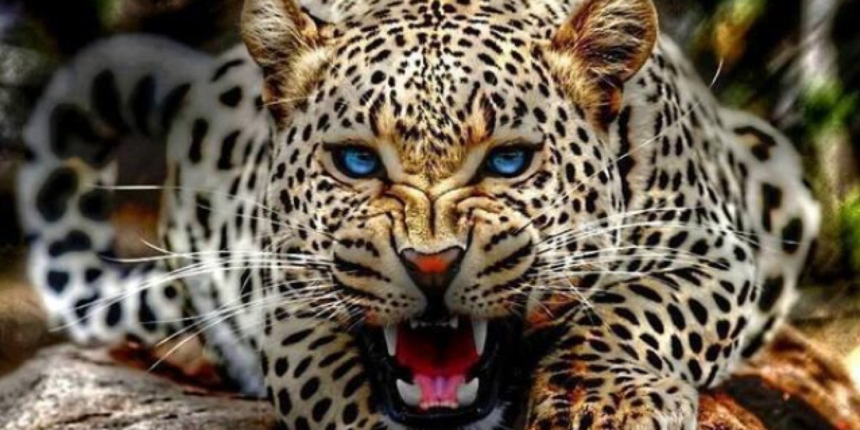 andrearilomira's profile banner image