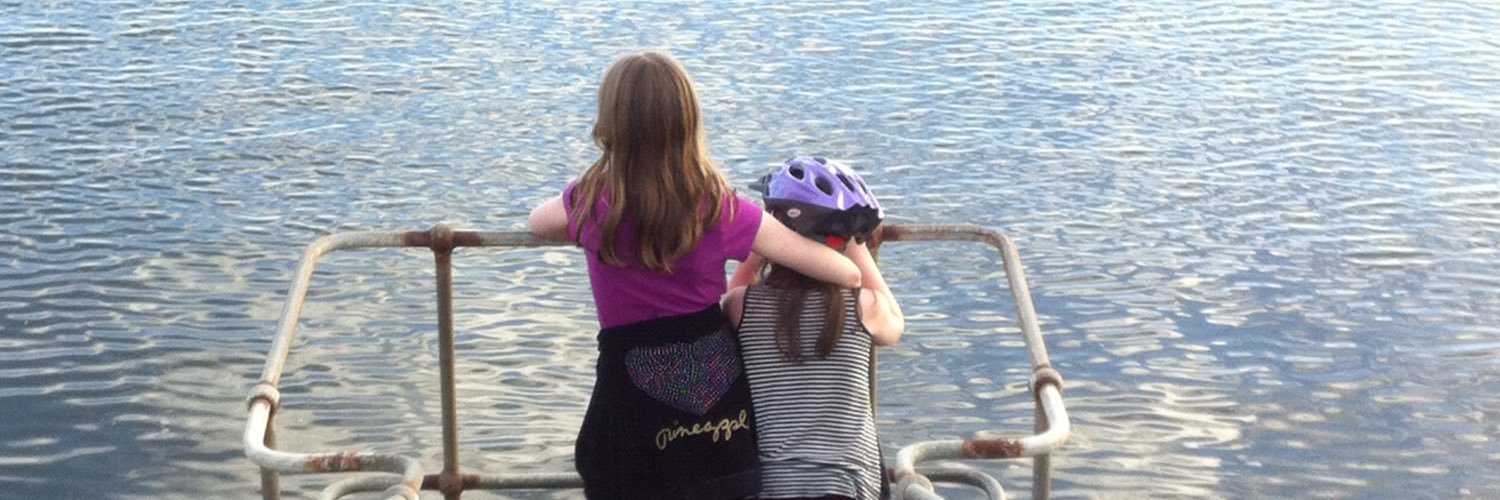 allyballybee74's profile banner image